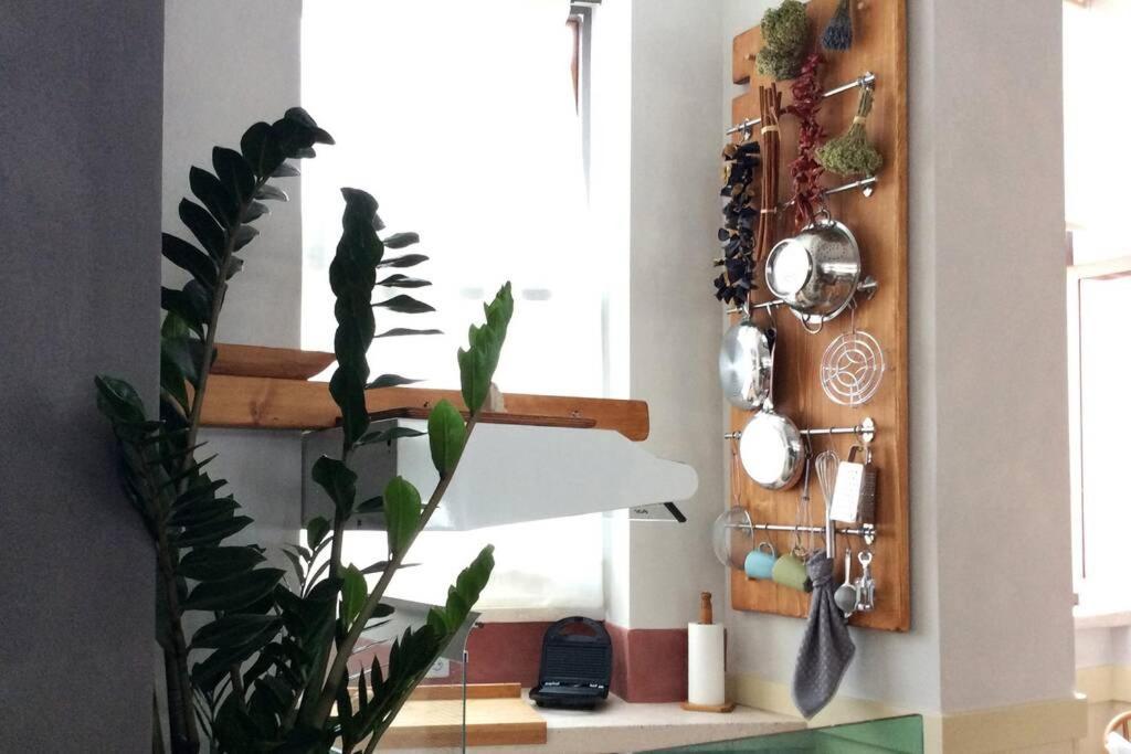 Unique - Spacious Studio With Rooftop / Thissio Atina Dış mekan fotoğraf