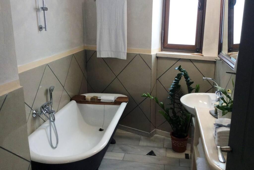 Unique - Spacious Studio With Rooftop / Thissio Atina Dış mekan fotoğraf